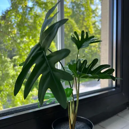 Geroweiher Doppelbettzimmer Stadtmitte Motel Mönchengladbach