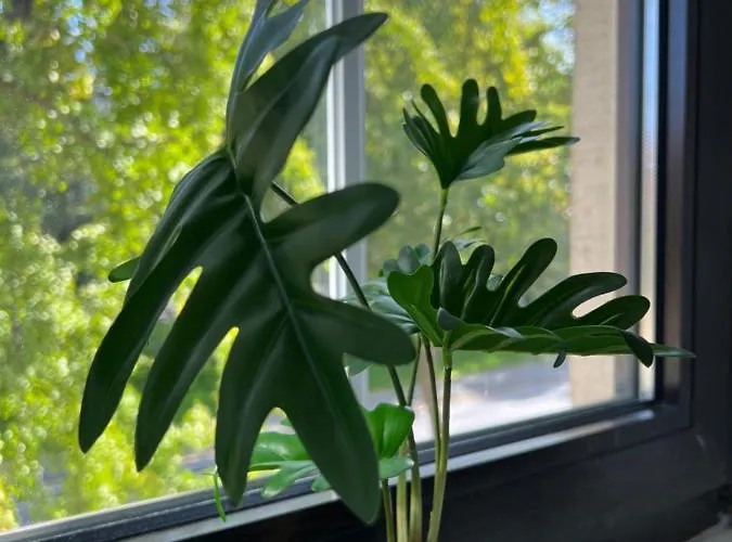 Geroweiher Doppelbettzimmer Stadtmitte Motel Mönchengladbach